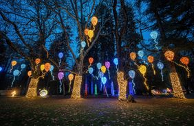 Lumagica enchants hearts